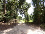 Central Florida Real Estate