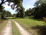Central Florida Real Estate