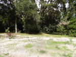 Central Florida Real Estate