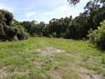Central Florida Real Estate